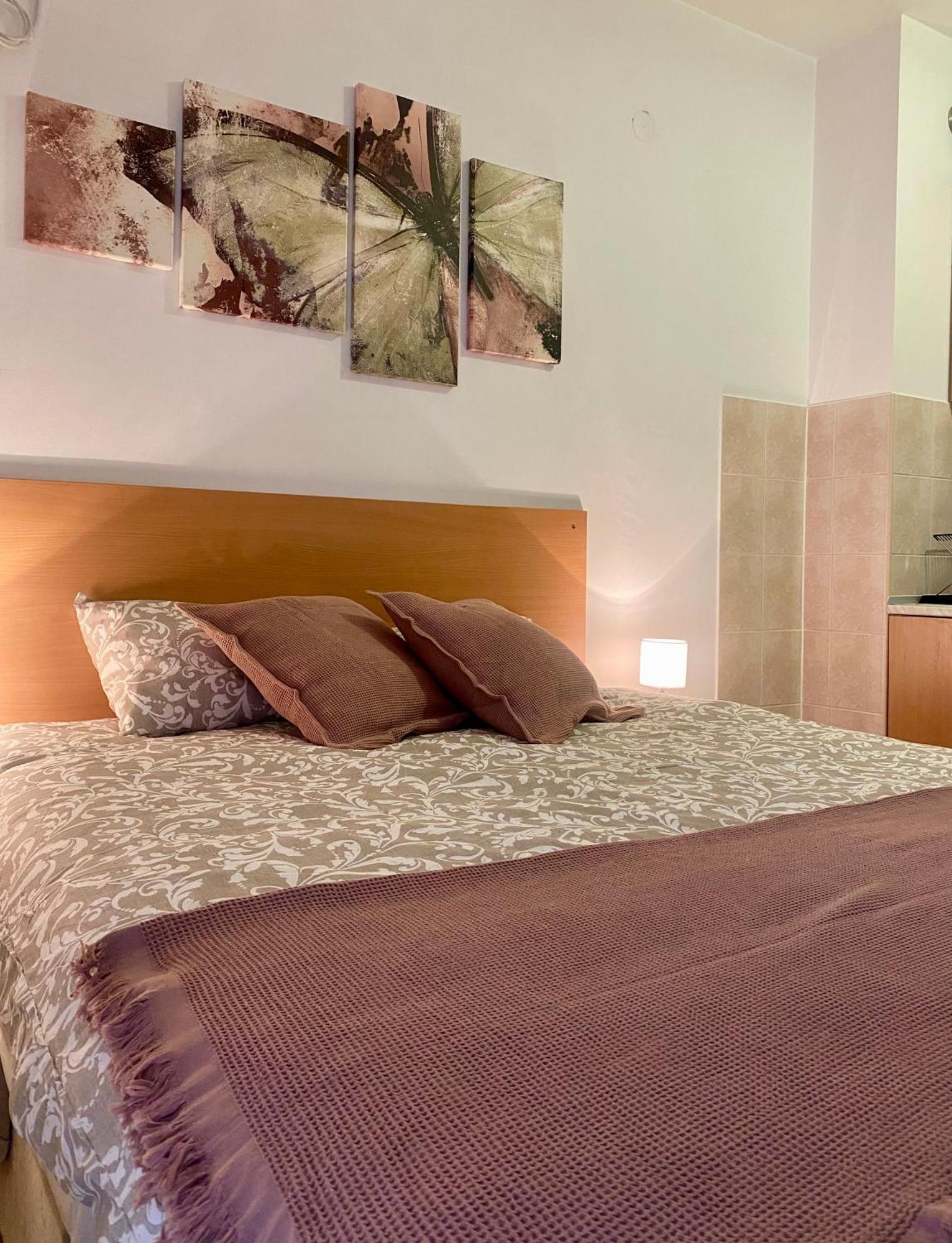 Apartment Victor Banja Koviljača エクステリア 写真