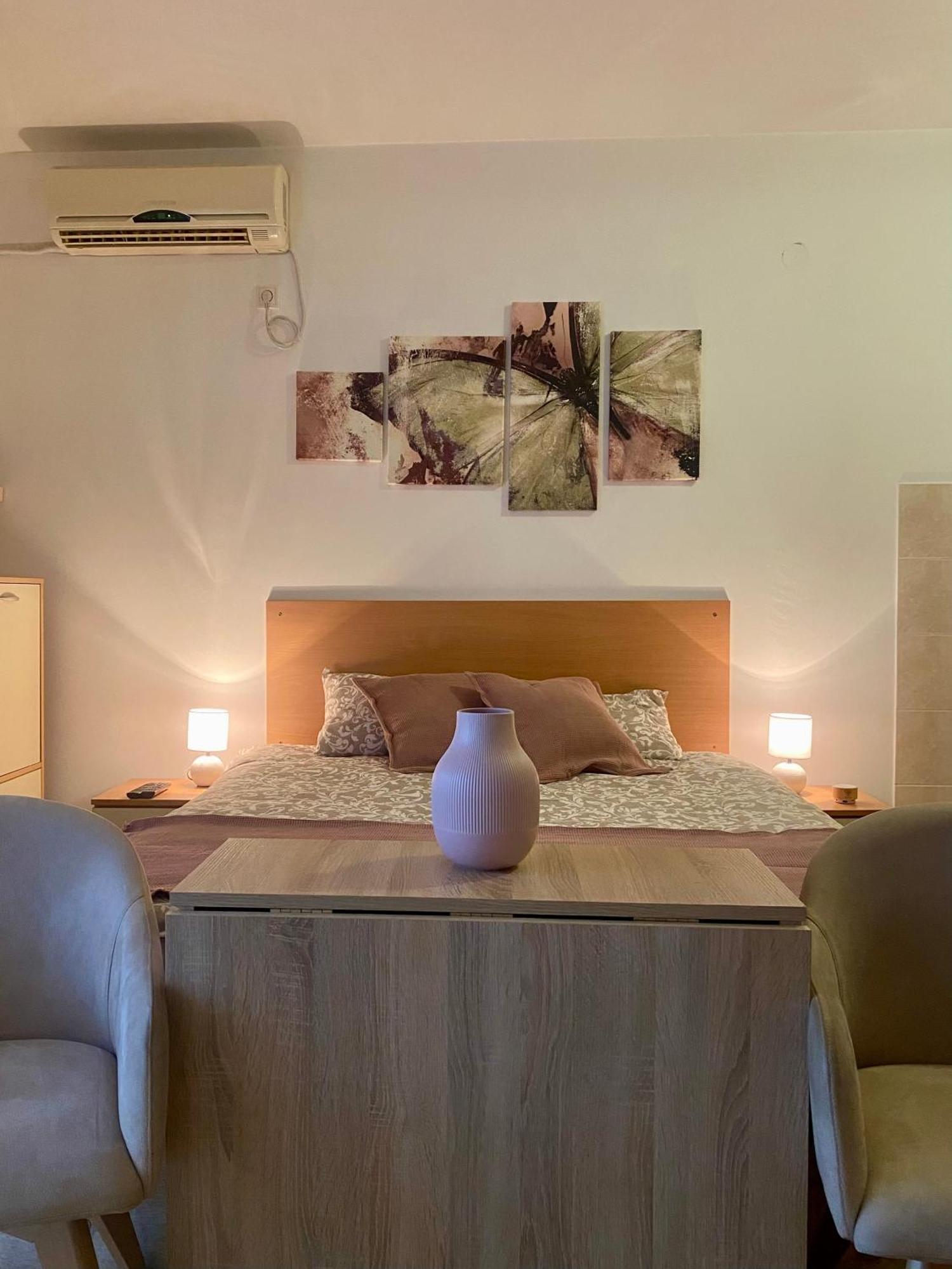 Apartment Victor Banja Koviljača エクステリア 写真